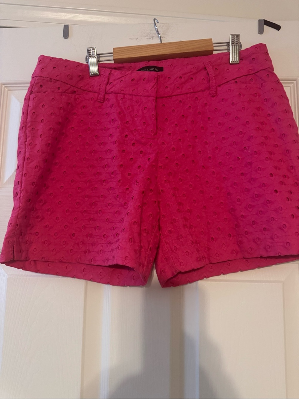 The Limited - Bright Pink Eyelet Women’s Shorts Sz 6